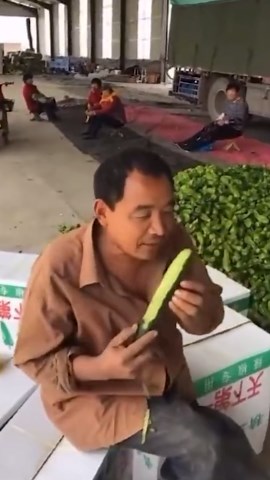 Ingenious Construction