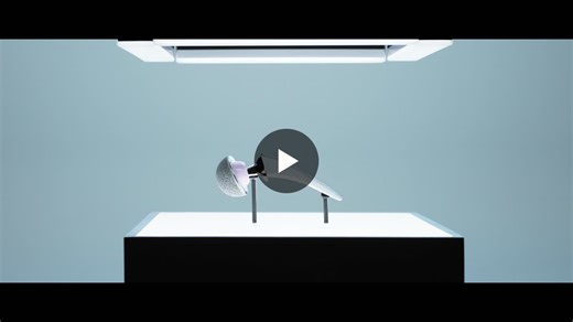 Z1® Femoral Hip System from Zimmer Biomet | Louis Galrao