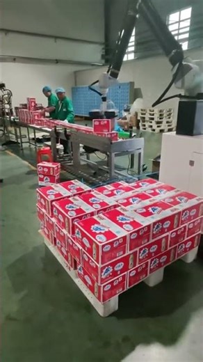 palletizer! #packagingequipment #machine #palletizer