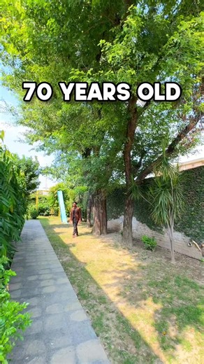 99K views · 1.1K reactions | Not your old haunted house !! | Apna Ghar.PK | Facebook