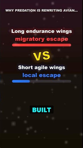 Why Predation is Rewriting Avian Flight Physics