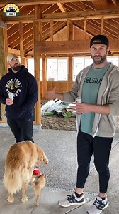 336K views · 25K reactions | Come check out more of the sanctuary. Alex Wittaker from @wcstrength.offical stopped by to help me build my gym and spend some time with the dogs. So much progress! | The Asher House | Facebook