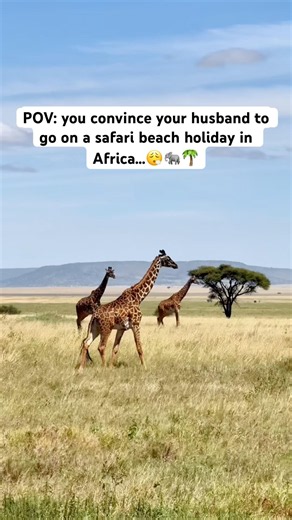 Best safari & beach combo #tanzania #zanzibar