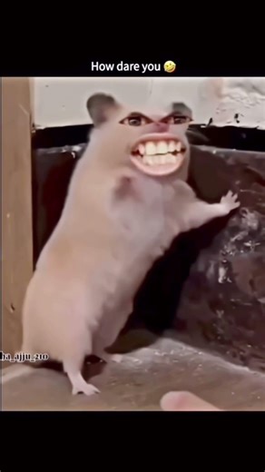 How dare you,, 😤 is Had Se tumne mujhe chhua🤣🤣🤣.vloggi Life