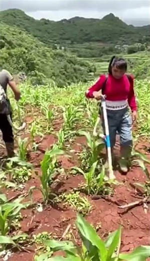 ¡Fertiliza tu campo en tiempo récord! La mejor Abonadora Manual