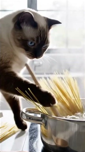 Cat cooking pasta #ai #animals #cat #food