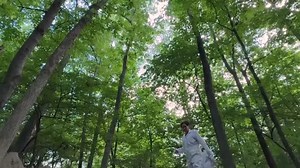 Surge of ticks in US Northeast sets off health concerns