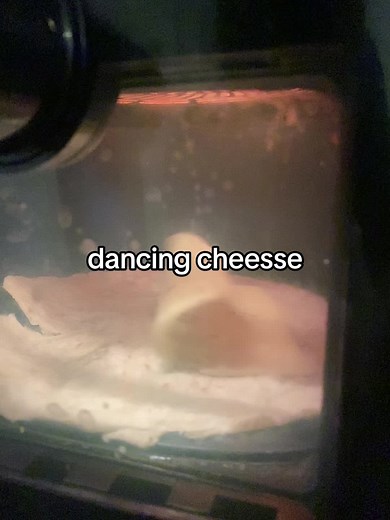 #aurfryer #viral #funnymemes #cheese #dance