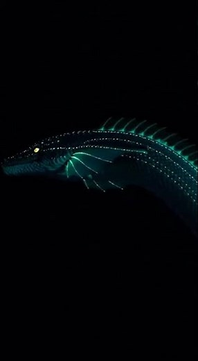 Realistic Sea Dragon – Mythical Underwater Serpent of the Deep