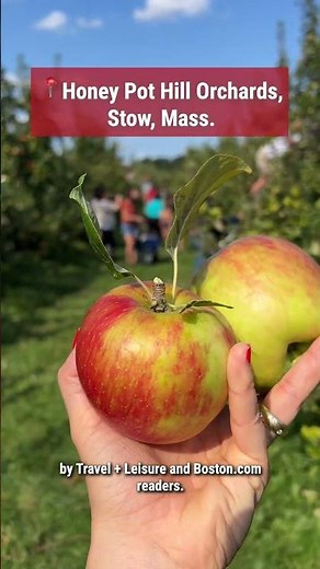 Honey Pot Hill Orchards offers a classic New England fall experience