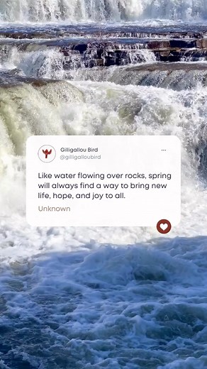 A lovely reminder that all things change and flow. Spring is the perfect time for new beginnings. We hope you get to enjoy this gorgeous spring weekend with friends and family! Bob n Lou | Gilligallou Bird Inc | Facebook