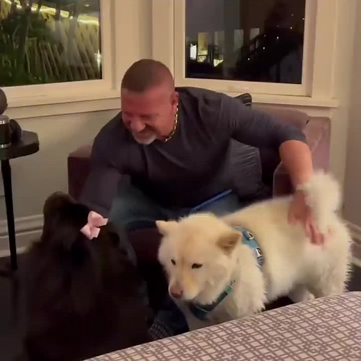 Frank Moore (@frank._moore)’s videos with That’s Just My Baby Doge - Chicky Milky