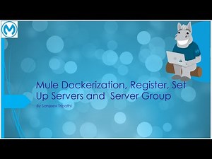 Mule 4 Dockerization, Register and Set Up Servers and Server Group