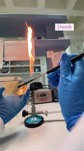 Dumb ways to die #laboratory #electrophoresis #bacteriaculture #sdspage #sds #reality