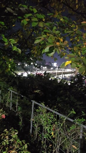 2025년 11월 13일#덕주는사람이되자 #봉사왕#난리났네난리났어 #카이로신의손tv