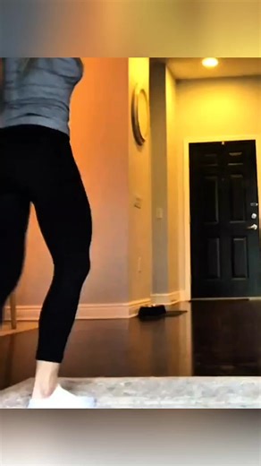 Hilarious Funny Animal Clips That Will Make You Smile