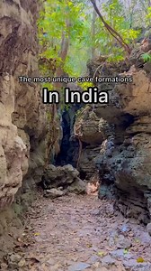 20K views · 44 reactions | These are one of the most unique cave...