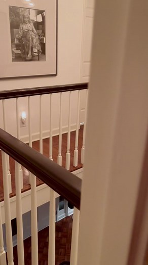 Funny Birds Singing | Masti Parrot Song