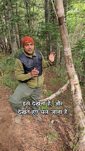 Hill Folks on Instagram: "Tag someone who treks, travels, or simply cares. Awareness is the first step toward change. Many of us, in awe or ignorance, peel off its flaking bark as a souvenir. What seems like a harmless natural shed is, in truth, a wound. These cracks leave the tree vulnerable, stripping it of its protective layer and life force. At Panchachuli Base Camp, the ancient Betula utilis — the sacred ‘Bhojpatra’ or Birch — stands as a silent guardian of this high-altitude ecosystem. But