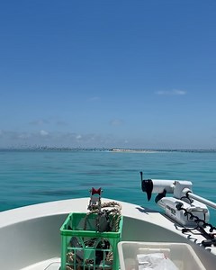 1.5K views · 377 reactions | Back 2 Basics Adventures on Reels | Facebook