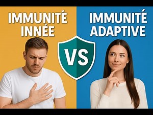 Immunité Innée vs Adaptative – Ce Que Vous Devez Savoir Pour Comprendre Vos Défenses