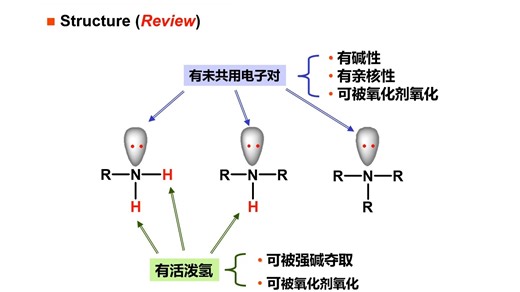 Organic Chemistry: CH19-2 Reactions of Amines-1