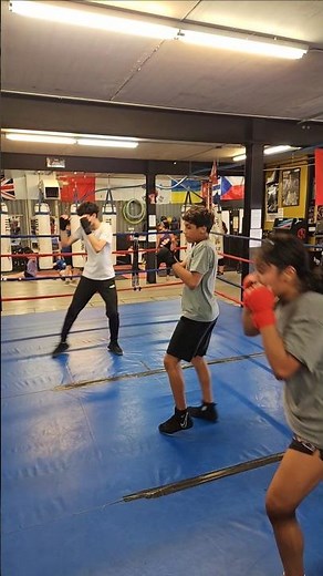 Boxing fundamentals drill!! #boxing #boxer #boxers #basic #drill #fighters #coaching #coach #box