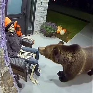 là ai dọa ai | 90S News