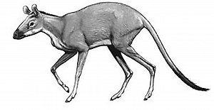 Online Textbook and Video - Annenberg Learner