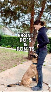 Fronts! Suggested tips! Of course, there are exceptions for everything and what didn’t work for my dogs might work for yours! *this is also an abnormal behavior for most dogs and the typical reason people teach this is for specific dog sports* Feel free to check back on my FB after I post this for all the sexist comments (I never read similar comments to this behavior when male trainers demo this. Random & interesting! 🤔)...#dogtrainer #dogtraining #dog #malinois #belgianmalinois #front #dogbeh