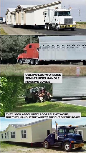 Big Power in a Tiny Package: How Mobile Home Toters Handle Massive Over-Dimensional Freight. 🛠️