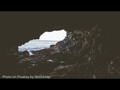 Deividas Vanagas. Apsėstasis, demonai, legionas ir kiaulės