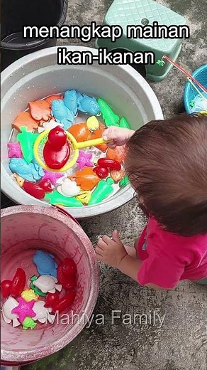 Mainan Ikan-Ikanan di Rumah