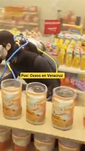Oxxos en #veracruz