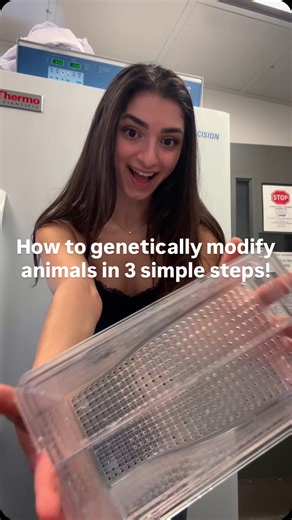 Melissa Spigelman | I’ll have you creating animals that have never been seen before in three simple steps ✨ Hi! I’m Mel, here to teach you how to master... | Instagram