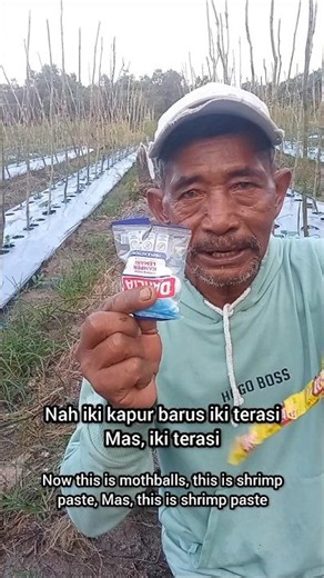 How to Repel Rats with This #agriculture #farmerstv #mrsri