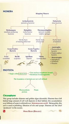 chap. 2 Biological Classification short notes # neet and class 11th . ☺