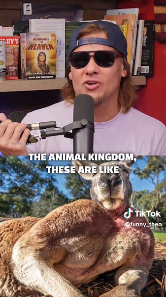 Theo on kangaroos. #theovon #theovonclips #fyp #comedy #animals
