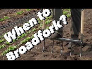 When to Broadfork?