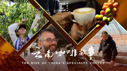 From bean to cup: The rise of China's specialty coffee