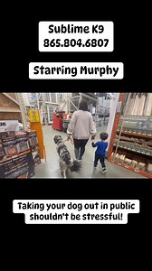 1.6K views · 17 reactions | Murphy had his very first field trip and KILLED it! If you want your dog to act right in public, we have programs to help! Our advanced lesson package includes 8 lessons and the last 3 can be used as field trips! Our 4 week board and train also includes field trips! Call, text or message us now! | Sublime K9 Training & Boarding, LLC | Facebook