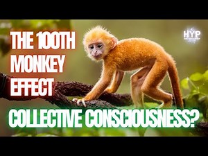 Did This Study Prove Collective Consciousness? The 100th Monkey Effect