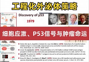 细胞应激、P53信号与肿瘤命运——工程化外泌体策略