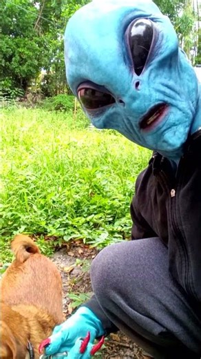 Alien Saves Helpless Earth Animal from Mortal Peril! #alien #rescue #dog
