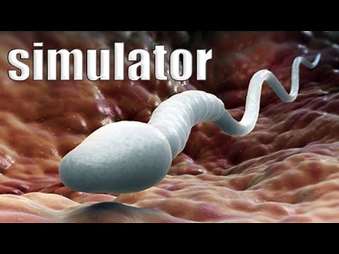 SPERM SIMULATOR 2016! - How Babies Are Made