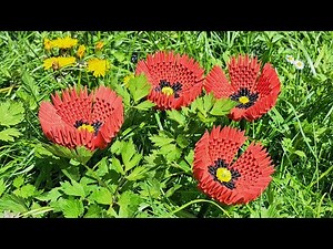 Mohnblume Origami 3d - Poppy - Bauanleitung / Tutorial - Blume zum Nachbauen