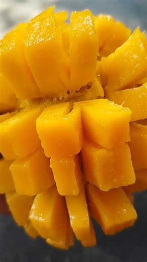 Sweet & Juicy Mango Cutting | Perfect Ripe Mango | Amazing Mango Fruit ASMR #mango #fruit #nature