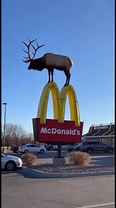 176K views · 2.8K reactions | Branson drivers stopped in disbelief...