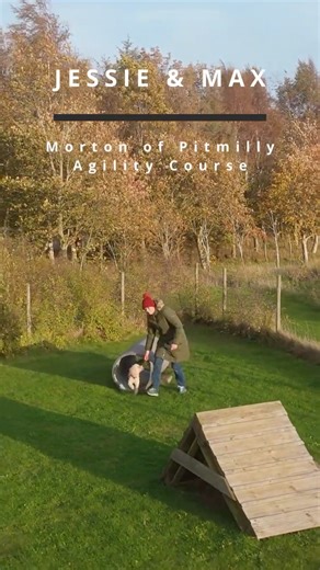 Old Dogs, Bad Habits - Senior Dogs Take on Agility at Morton of Pitmilly