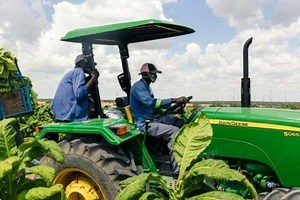 Discussion | KZN Farming | Addressing challenges faced by small-scale farmers